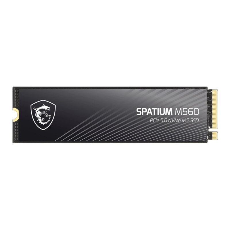 Твердотельный накопитель MSI 1000 Gb SPATIUM M560 (S78-440L0F0-P83) BOX