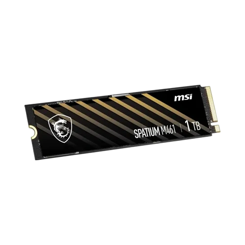 Твердотельный накопитель MSI 1000 Gb SPATIUM M461 (S78-440L1D0-P83)