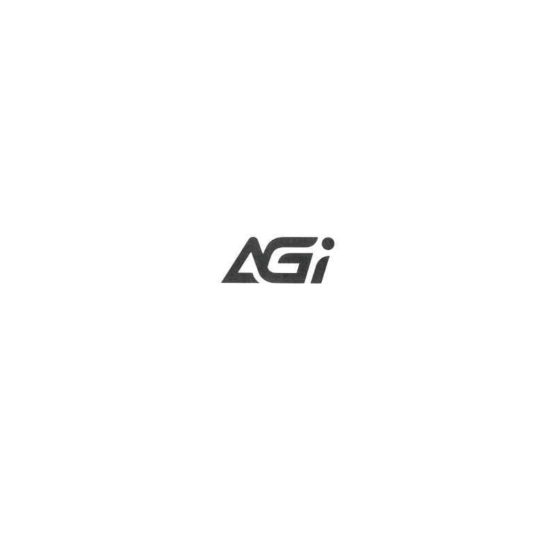 Твердотельный накопитель AGI AI298 2000 Gb (AGI2T0GIMAI298-CB) BOX