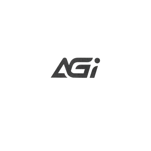Твердотельный накопитель AGI AI298 2000 Gb (AGI2T0GIMAI298-CB)