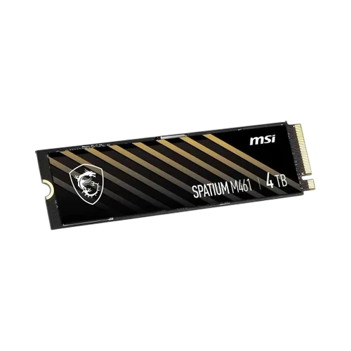 Твердотельный накопитель MSI 4000 Gb SPATIUM M461 (S78-440R030-P83)