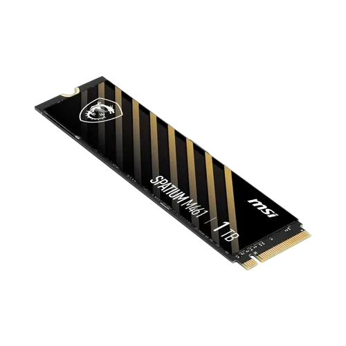 Твердотельный накопитель MSI 1000 Gb SPATIUM M461 (S78-440L1D0-P83)