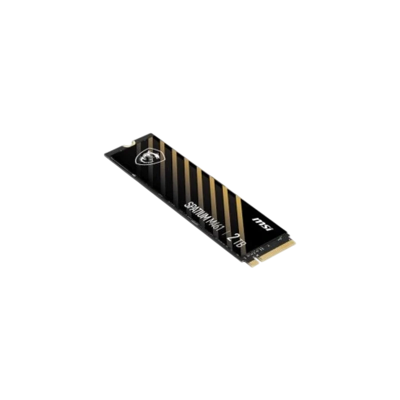 Твердотельный накопитель MSI 2000 Gb SPATIUM M461 (S78-440Q550-P83)