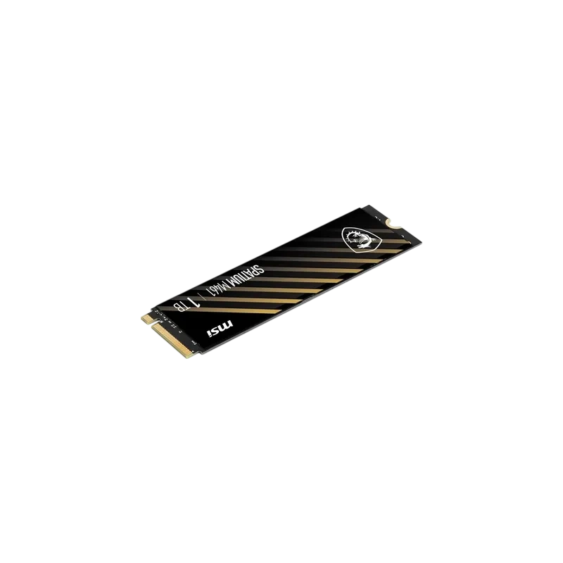 Твердотельный накопитель MSI 1000 Gb SPATIUM M461 (S78-440L1D0-P83)